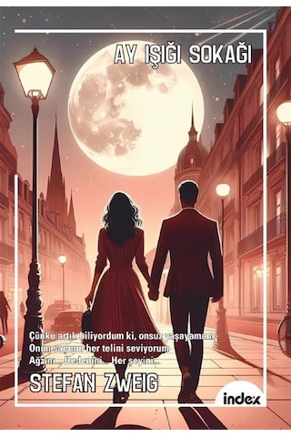 Ay Işığı Sokağı Yeni Çeviri / Stefan Zweig
