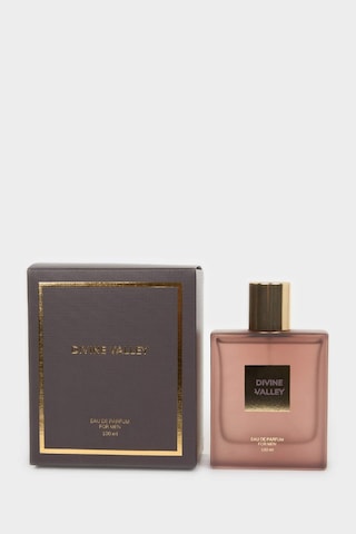 Defacto Erkek Odunsu 100 Ml Parfüm H4359axnsbr150