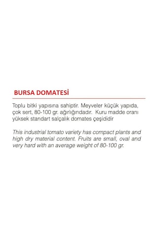 Ata Tohumu Yerli Doğal Bursa Domatesi 100 Adet Tohum