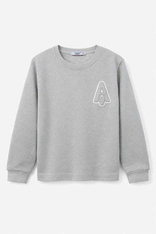 Tanem Kids Erkek Çocuk Jakarlı Gri Örme Sweatshirt Gri