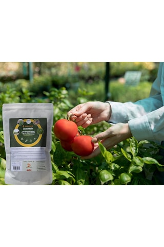 Klasser Leonardit Çok Amaçlı Toprak Düzenleyici 4500 GR