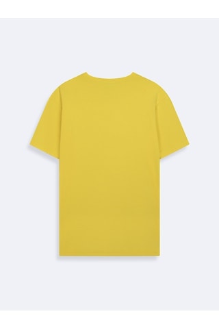 LTB Vintage Efektli Relaxed Fit Sarı T-shırt Çok Renkli