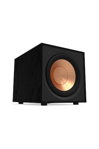 R-101sw Subwoofer - 10 İnç Yüksek Verimli Subwoofer Sürücü, Dahili Dijital Amfi, Düşük Frekanslarda Derin, Güçlü Ve Hassas Bas Sesleri, 300 Watt Güç Çıkışı, Siyah