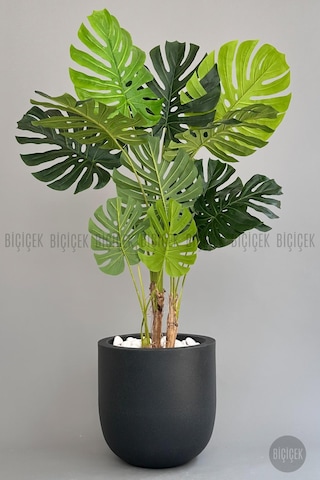 Biçiçek Yapay Monstera Ağacı Deve Tabani 180 Cm Antresi̇t Çeşme Saksıda