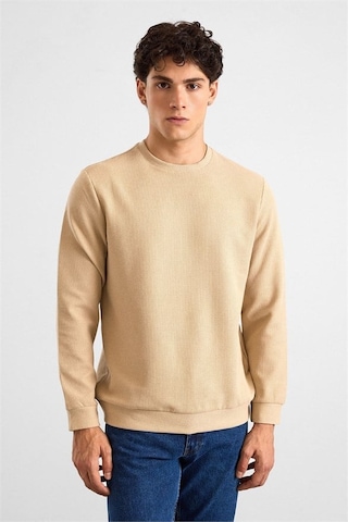 Süvari Bej Regular Melanjlı Baskısız Waffle Bisiklet Yaka Cepsiz Düz Sweatshirt Sw2013700027-bj3
