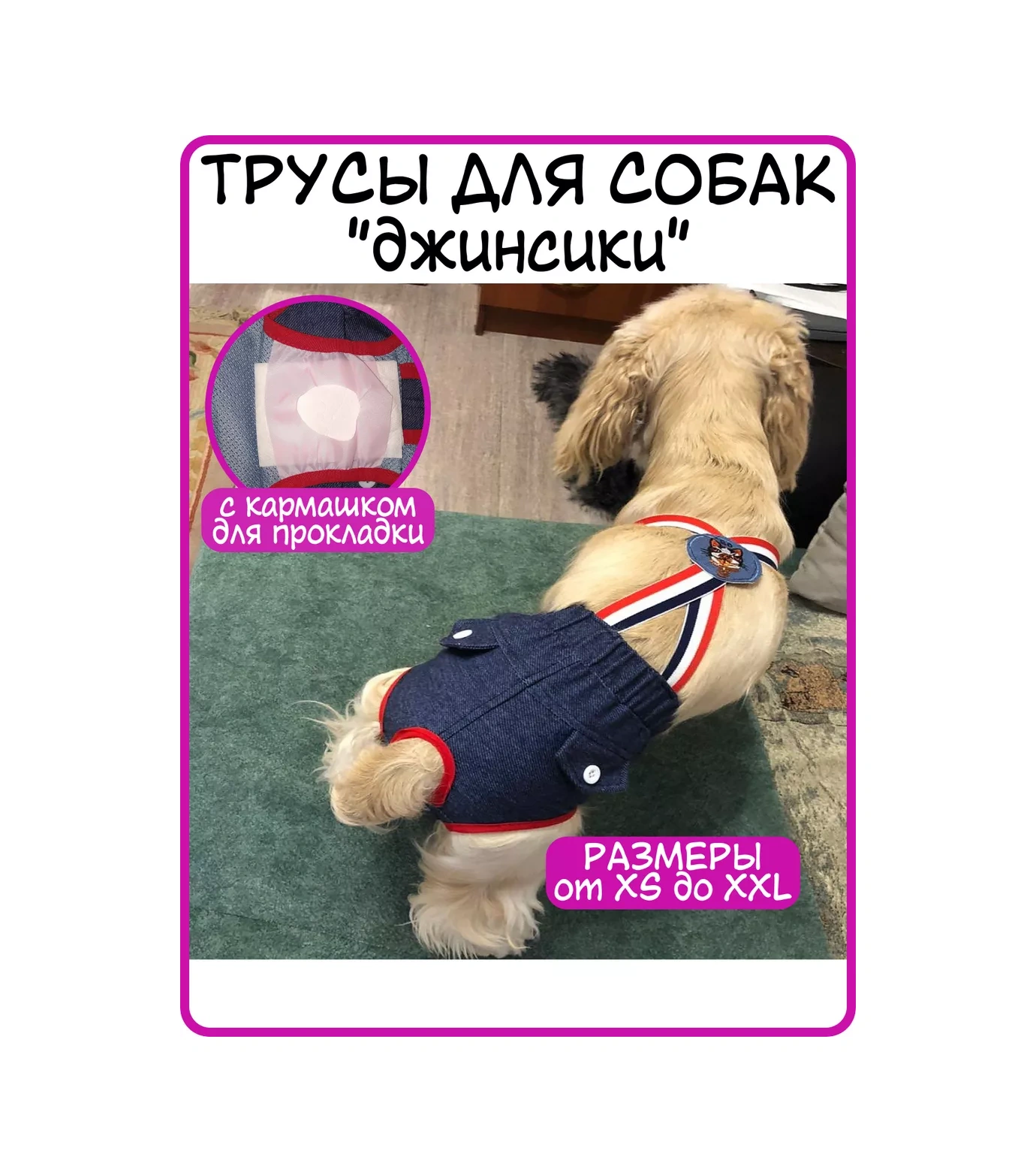 Best Golden Monkey Köpekler İçin Boxer Şortları 35593528