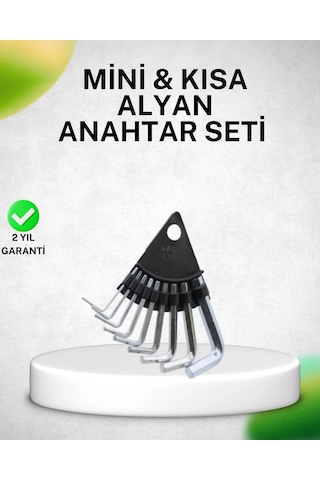 Buğz 9 Parça Alyan Anahtar Seti Isıl İşlem Görmüş Dayanıklı Çelik