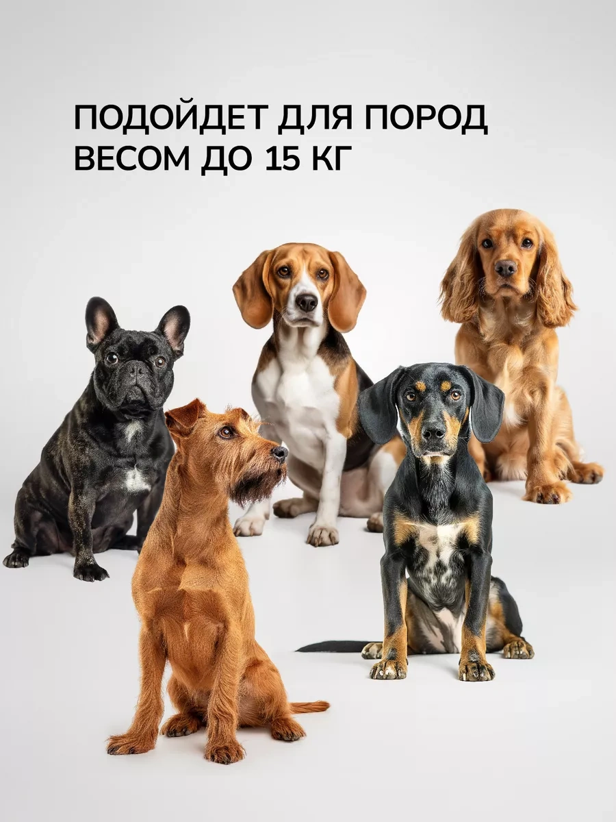 Misterbully Orta Irk Köpekler İçin Metal Mama Kabı, 2x900ml 200302409