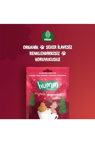 Organik Zencefilli Ve Tarçınlı Vegan Kurabiye 55 Gr