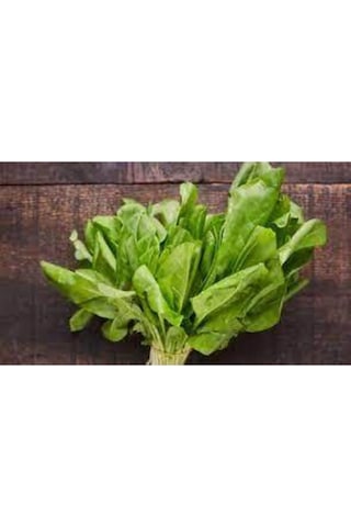 100 Adet Kuzu Kulağı Koç Kulağı Ekşi Otu Tohumu