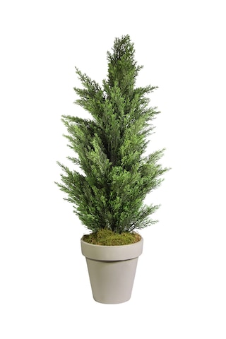 Yapay Limon Servi Çam Ağacı 135 Cm Yeşil