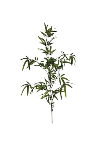 T.concept Dekoratif Yapay Bambu Dal 160 Cm 1 Adet