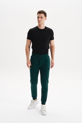 AR-MA Arma Erkek Regular Fit Gizli Fermuarlı Cepli Dar Paça Lastikli Eşofman Altı Pamuk Polyester, 3 İplik Şardonlu K30174681702 Yeşil