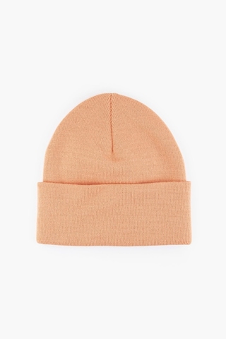 Levi's Unisex Logolu Slouchy Yavru Ağzı Bere - D5439-0007