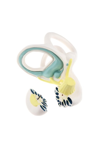 Suntek Büyütülmüş İnsan Kulağı Labirent Anatomik Yapı