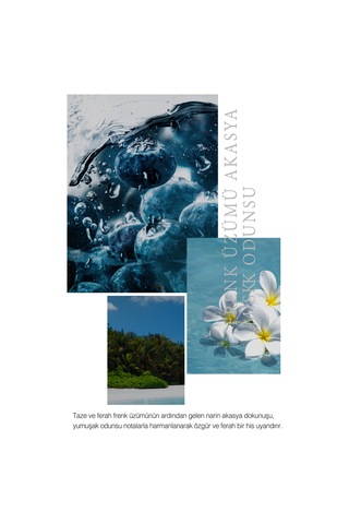 Dashu Acqua Dive Unisex Parfüm 50 ML