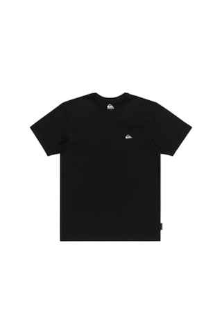 Quiksilver Basıc Ss Tee Young Men Siyah Erkek Kısa Kol T-shirt Siyah