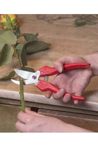 Felco 300 Budama Makası Ve Felco 600 Budama Testeresi