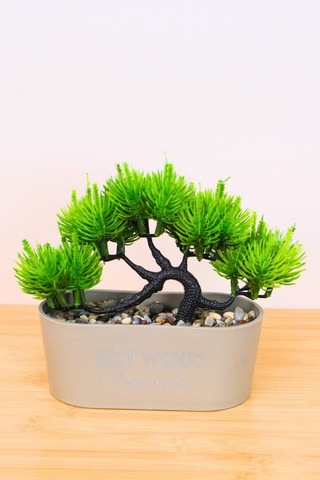 Digithome Dekoratif Kayık Saksılı Yapay Çam Ağacı Bonsai Gri 16cm Eva-5829 C1-1-423
