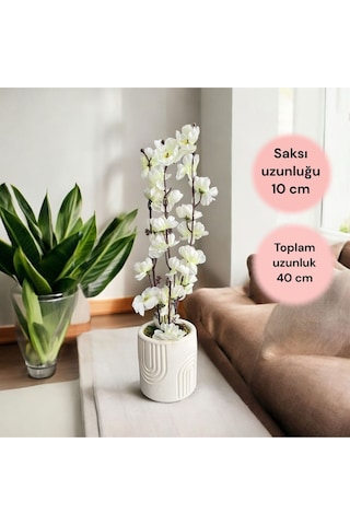 Beton Saksıda Gerçek Taş Yosunlu Yapay Japon Kiraz Çiçeği,saksı ,aranjman , Ev Dekorasyon,
