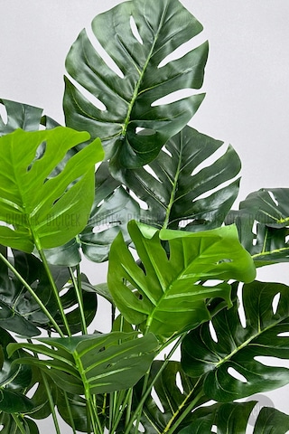 Biçiçek Yapay Monstera Deve Tabani Bi̇tki̇si̇ 60 Cm Krem Orgulu Hasir Saksıda