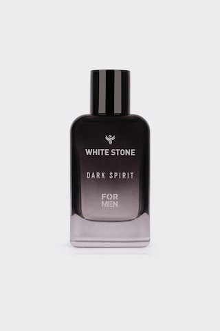 Dark Spirit Erkek Eau De Parfum 100 Ml Fresh