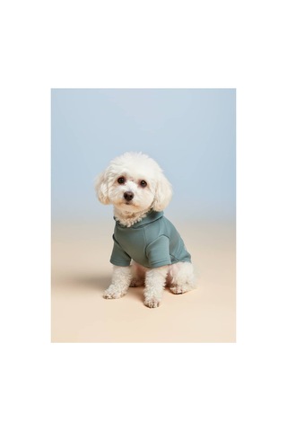 Kapüşonlu Kedi Köpek Kıyafeti Sweatshirt Hoodie Evcil Hayvan Giysisi