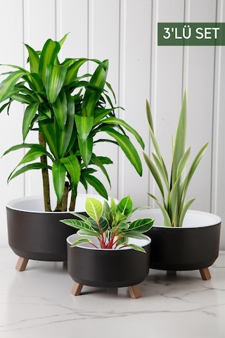 Nandy Home Tripot Model 3'lü Saksı Seti Siyah