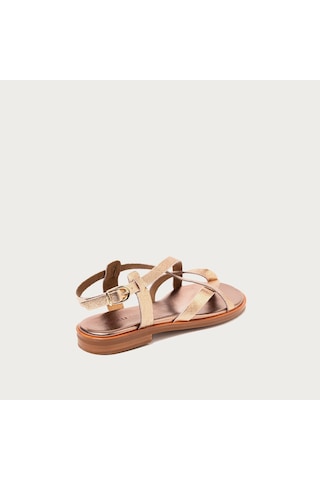 Champagne Sneaker Kadın 86v2 Frau Florence-s Bej