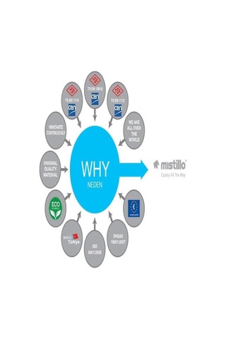 Mistillo Banyo Oval Krom Kaplı Tepe Duş Başlığı Çap 20 Cm Krom Kaplama Krom