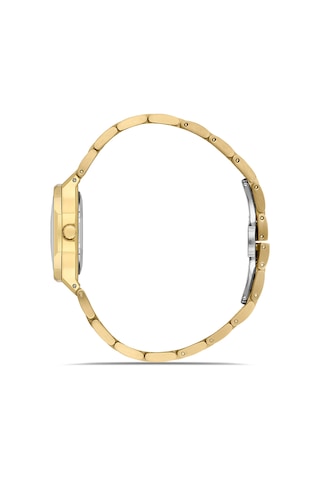 Ferro Fl21616awt-b6 Quartz Çelik Altın Rengi Yeşil Kadran 27 Mm Kadın Kol Saati Altın