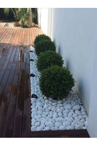 T-May Beyaz Dolomit Taşı - Bahçe Süsü, Ve Akvaryum Dekorasyonu Için Dere Çakılı 25 Kg 4-6 Cm