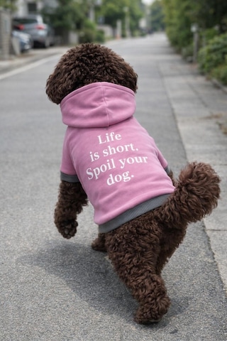 Alphadog Lila Polarlı Küçük Irk Köpek Sweatshirtü 5 9 Kg-12 Kg Arasına Uygun