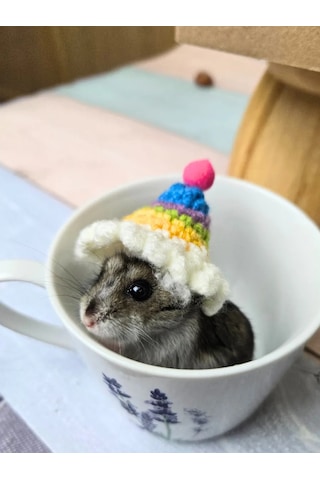 Moonx Renkli Hamster Şapkası. 272413531