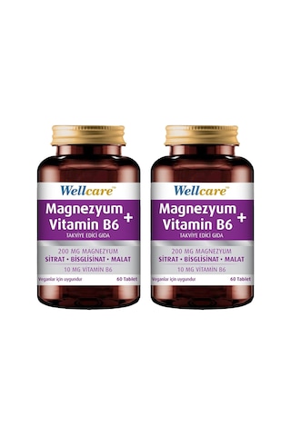 Wellcare Magnezyum + Vitamin B6 2 x 60 Tablet