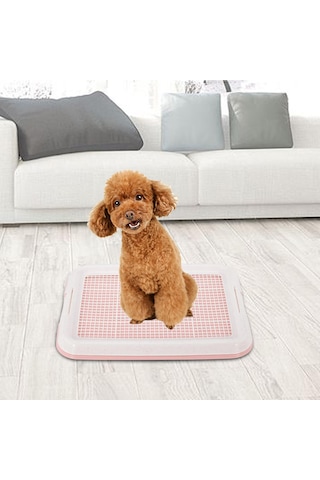 Homyl Küçük Köpekler Için Köpek Lazımlık Tuvalet Pembe