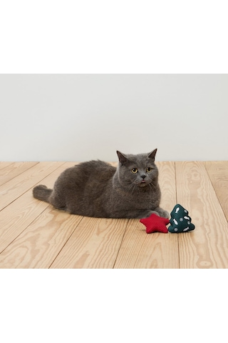 Kedi Oyuncağı, 2li