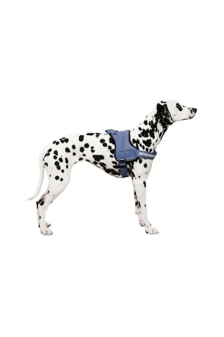 Belden Köpek Tasması Maestro 2.0 XXL 83-113 cm x 38 mm Mavi