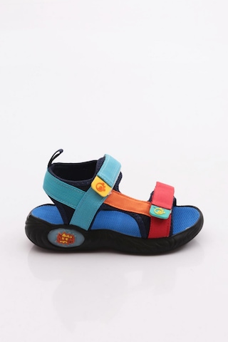 Dudino Kids Footwear 4s87a Coconut Iı Çocuk Sandalet Sandalet Ve Terlik Sax Blue