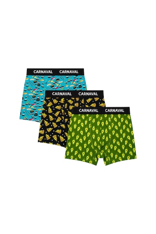 Carnaval Socks Carnaval Snack Garden Erkek Boxer 3'lü Set Çoklu