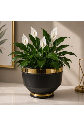 Metal Saksı Mat Siyah Ve Altın Detaylı İç Mekan Kullanımı 19x26cm No:24 -
