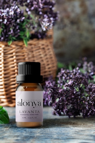 Lavanta Esansiyel Uçucu Koku Yağı Buhurdanlık Esansı Oda Kokusu Ve Aromaterapi Yağı 10 Ml Lavanta