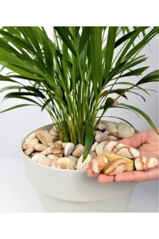 Sarı Çizgili Dolomit 4 Kg 2-4 Cm Sarı Dolomit Taş