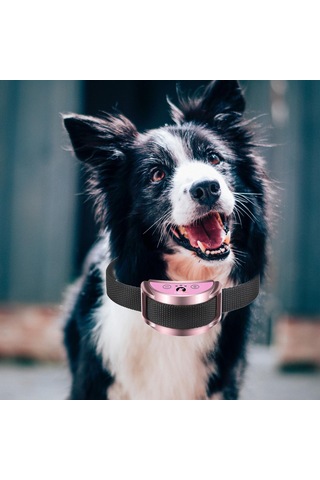 Suntek Köpek Çağrı Tasması Karşıtı Eğitim 7 Pembe