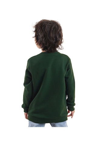 Denokids Roarr Dino Erkek Çocuk Haki Sweatshirt Renkli