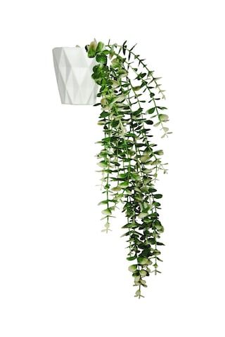 Özel Tasarım İki Renkli Elmas Beyaz Saksılı Saksılı Beyaz - Yeşil Okaliptus Sarkıtı Beyaz-Yeşil