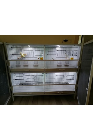İstanbul Kafes Model 4 Pvc Kuş Dolabı