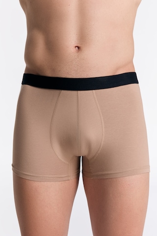 Albero Natur Gots Sertifikalı Organik Pamuk Erkek Trunk Boxer İç Çamaşırı Sütlü Kahverengi