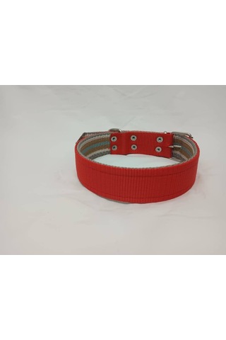 Kozaklı 10479 Büyük Irk Köpek Tasması Kırmızı 70 x 4 CM Kırmızı