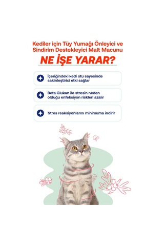 Biofeline Kediler İçin Rahatlatıcı Etkili Malt Macunu 100 G
